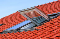 Priory Green roof window