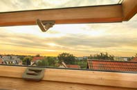 rated Priory Green roof window companies
